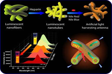 Indian researchers develop method to harvest artificial light using organic nanotubes