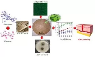 Indian scientists develop eco-friendly dressing for wounds