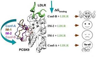 Indian researchers discover a new way to control cholesterol