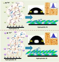 A group of Indian scientists created lysozyme bilayer in the presence of ions