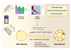 Indian researchers investigate health benefits of anti-obesity bamboo shoots