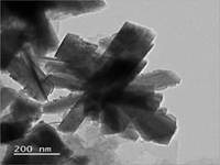 Indian scientists develop a new copper-based catalyst with extremely microscopic star-like structure