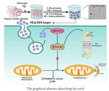 Indian scientists find a potential therapeutic solution for Parkinson’s disease