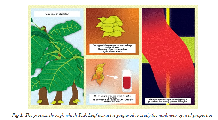 Teak Leaves Block Lasers Naturally