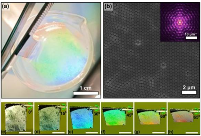 Indian Scientists Engineer Color-Shifting Wearables