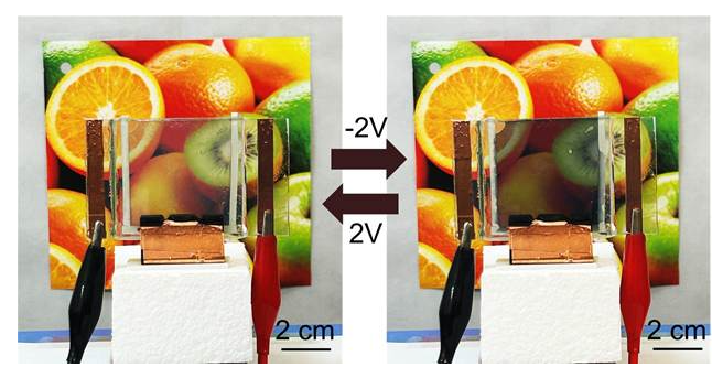 Bengaluru Scientists Create Affordable Smart Windows to Slash Energy Bills